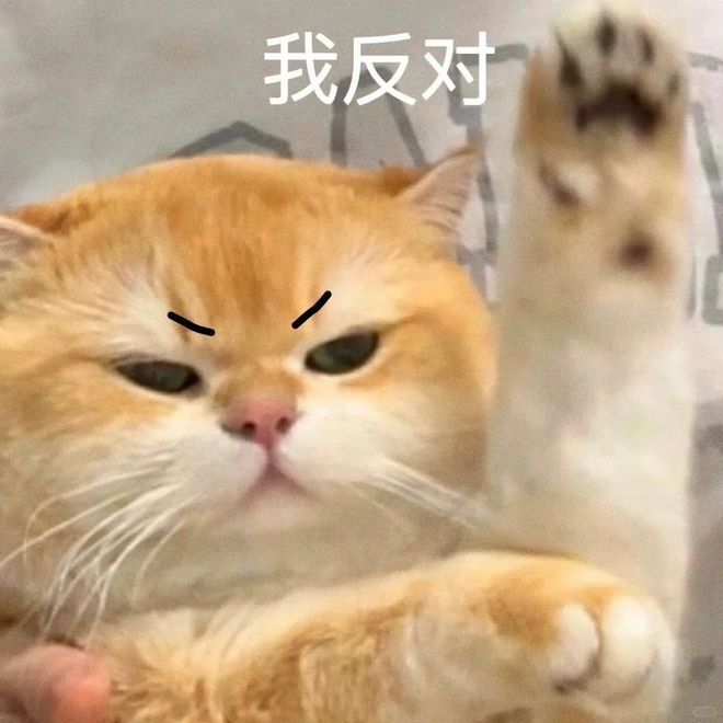 九游娱乐平台：小心犯法！港人扎堆开车到内地做这件事…(图9)