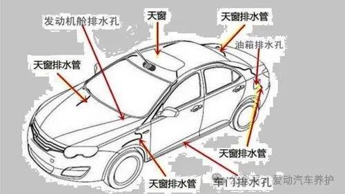 九游娱乐：最近天气多变台风频发汽车养护要跟上(图2)