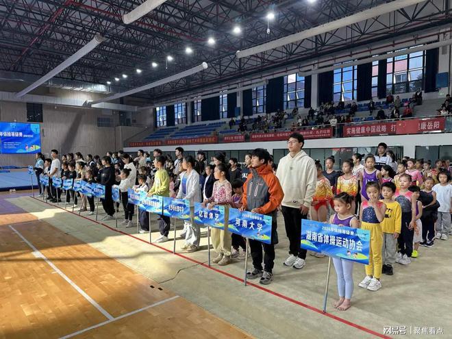 九游娱乐网站：2024年体操等级赛湖南岳阳站圆满落幕(图2)