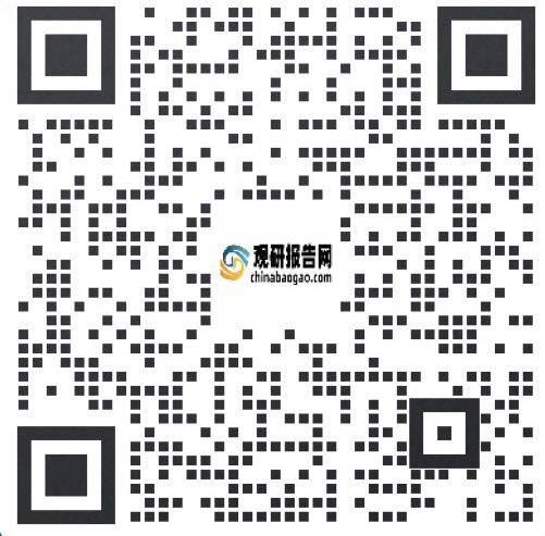 九游娱乐：中国汽车美容连锁市场运营现状研究与发展战略评估报告（2023-2030年）
