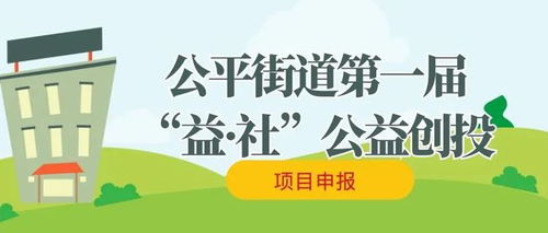 九游娱乐：公益创投项目有哪些
