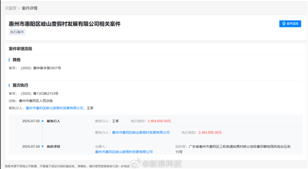 九游娱乐网站：进军AI领域二次创业后王自如再成被执行人执行标的超246万(图2)